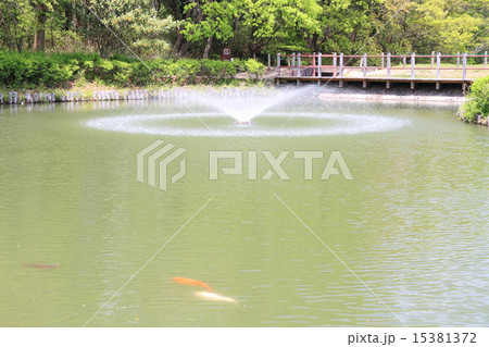 若葉の公園 若葉の公園 15381372