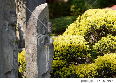 聖天院 聖天院 15381997