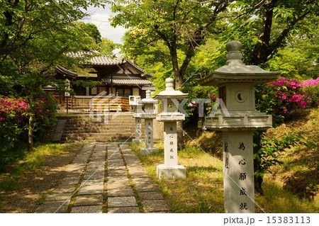 奈良桜井安倍文殊院の参道の燈篭３ 15383113