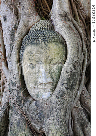 Head of Sandstone Buddha in Thailand Head of Sandstone Buddha in Thailand 15383314