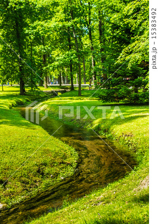 Park in Peterhof, Russia 15383492
