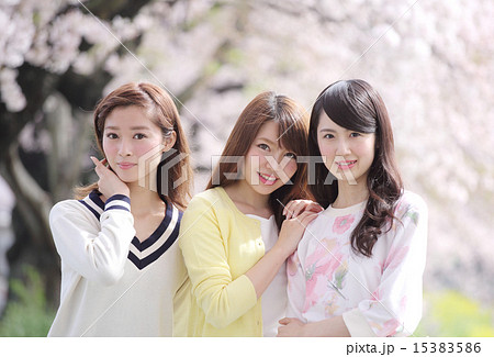 桜と三人の若い女性 桜と三人の若い女性 15383586