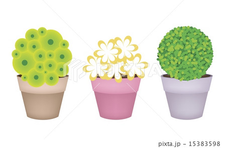 Beautiful Trees and Plants Terracotta Flower Pots 15383598