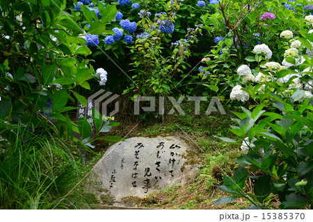京都府福知山市の丹波あじさい寺 永代供養・水子供養の観音寺 15385370