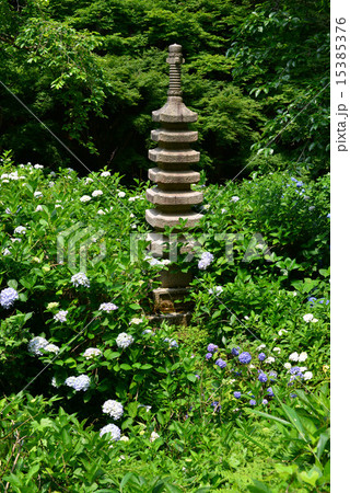 京都府福知山市の丹波あじさい寺 永代供養 水子供養の観音寺の写真素材