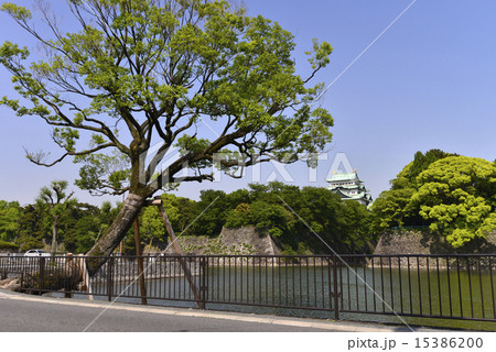 お濠と名古屋城 お濠と名古屋城 15386200