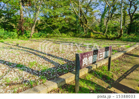 佐倉城の本丸跡に残る角櫓跡 15388033