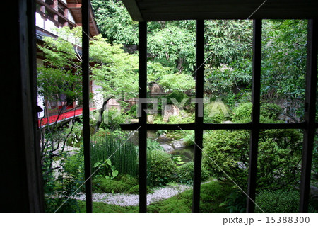 宝泉院庭園 15388300