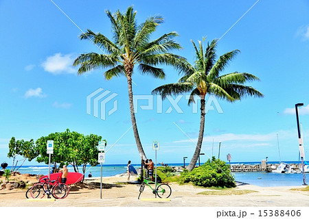 ハワイの休日 15388406
