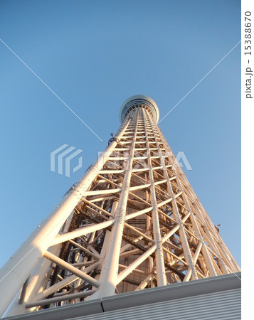 真下から見上げた東京スカイツリー 真下から見上げた東京スカイツリー 15388670