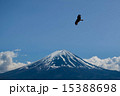 1富士２鷹 15388698