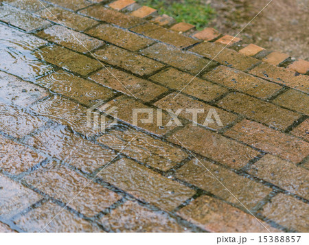 雨の日 雨の日 15388857