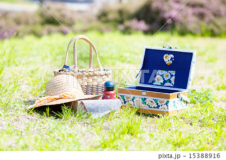 公園で楽しむピクニック 公園で楽しむピクニック 15388916
