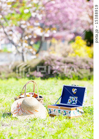 公園で楽しむピクニック 15388919