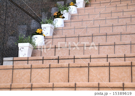 階段と花 階段と花 15389619