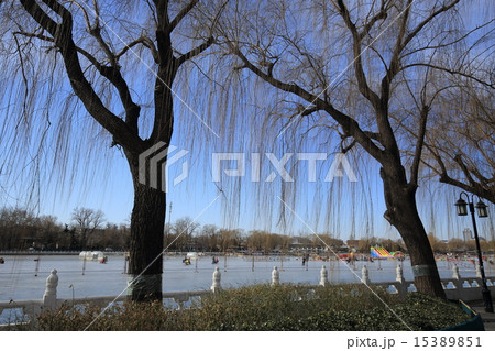 北京 什刹海公園 后海 北京 什刹海公園 后海 15389851