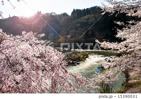 稚児舞台公園 15390031