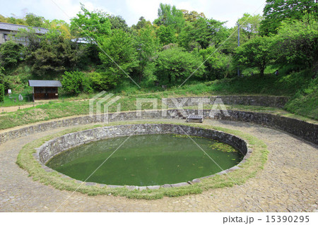 金山城　日ノ池 15390295