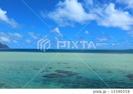 カネオヘ湾沖ココナッツ・アイランドから天使の海の眺め 15390358