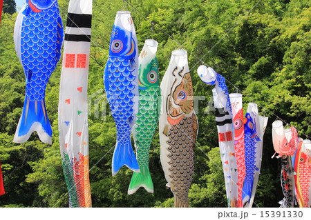 香嵐渓の鯉のぼり 15391330