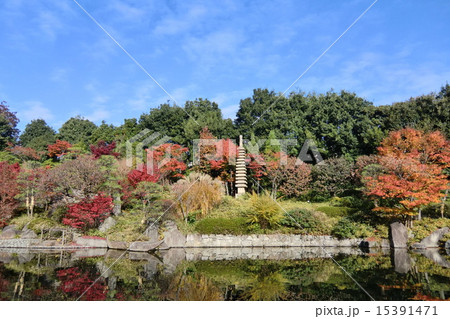 東京都　豊島区立　目白庭園（秋） 15391471