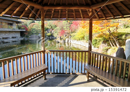東京都　豊島区立　目白庭園（秋） 15391472