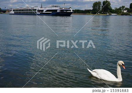 ライン川　マインツ 15391683