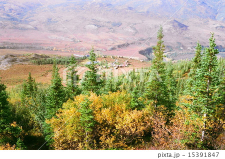 アラスカ・デナリ国立公園 アラスカ・デナリ国立公園 15391847