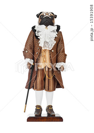 Toy pug dog in butler costume Toy pug dog in butler costume 15391908