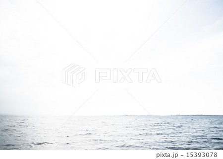 海 15393078
