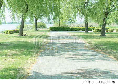 渡良瀬遊水池 15393390