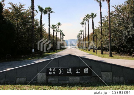 お台場の潮風公園 15393894