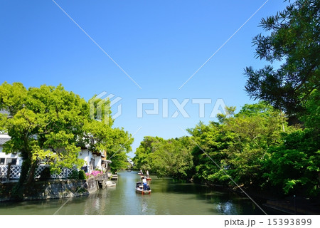 柳川の川下り 15393899