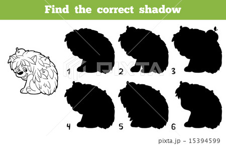 Find the correct shadow (hedgehog) 15394599