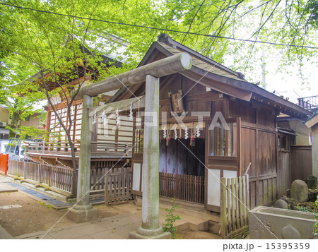 馬橋稲荷神社の斎霊殿と舞殿(東京都杉並区) 馬橋稲荷神社の斎霊殿と舞殿(東京都杉並区) 15395359