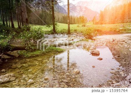water and trees water and trees 15395764