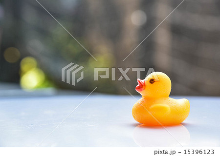 Yellow rubber duck Yellow rubber duck 15396123