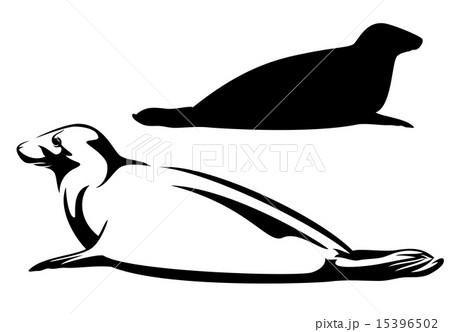 sea seal black and white vector design sea seal black and white vector design 15396502