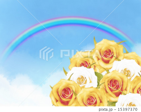 薔薇 薔薇 15397370