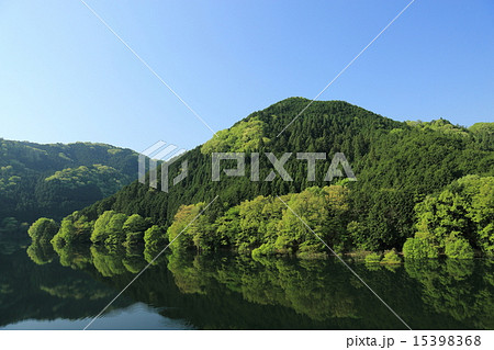 奈良・室生の新緑 15398368