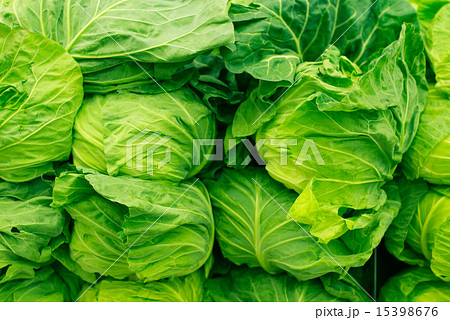 スーパーにて積み上げられた野菜・キャベツ スーパーにて積み上げられた野菜・キャベツ 15398676