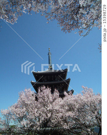 香林寺 五重塔 香林寺 五重塔 15398729