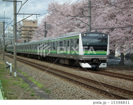 横浜線 E233系 橋本駅付近 横浜線 E233系 橋本駅付近 15398831