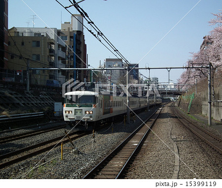 185系　北行き　巣鴨駅 15399119