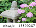あじさいと灯篭 15399287
