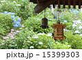 吊るし灯篭とあじさい 15399303