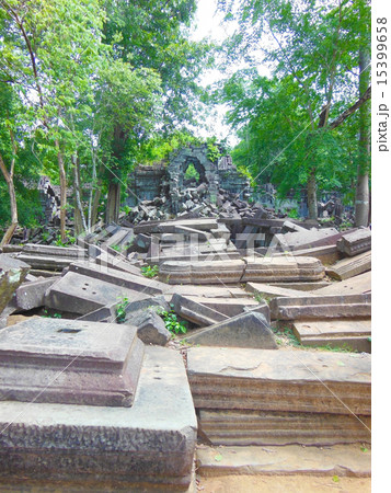 ベンメリア ベンメリア 15399658