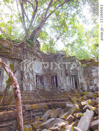 ベンメリア 15399663