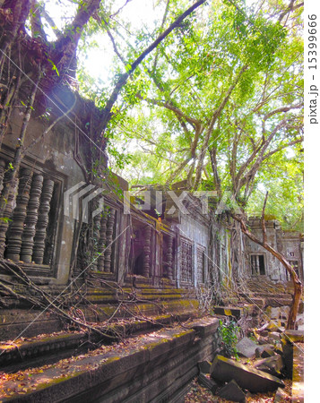 ベンメリア ベンメリア 15399666