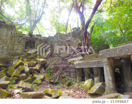 ベンメリア 15399667